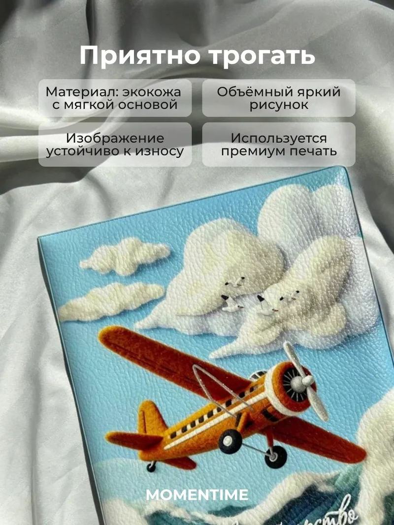 Обложка на свидетельство о рождении «Самолётик»